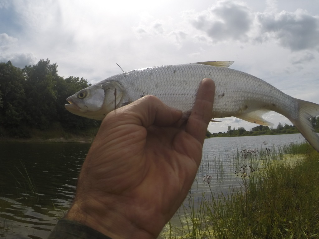 DCIM999GOPRO